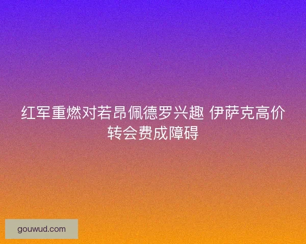 红军重燃对若昂佩德罗兴趣 伊萨克高价转会费成障碍