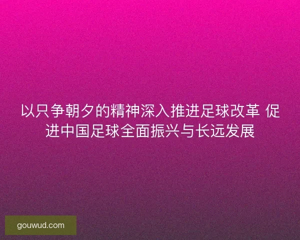 以只争朝夕的精神深入推进足球改革 促进中国足球全面振兴与长远发展